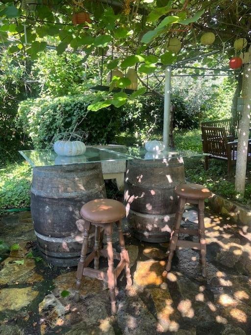 Casa A Boga Ribeira Sacra Villa Abeleda Dış mekan fotoğraf